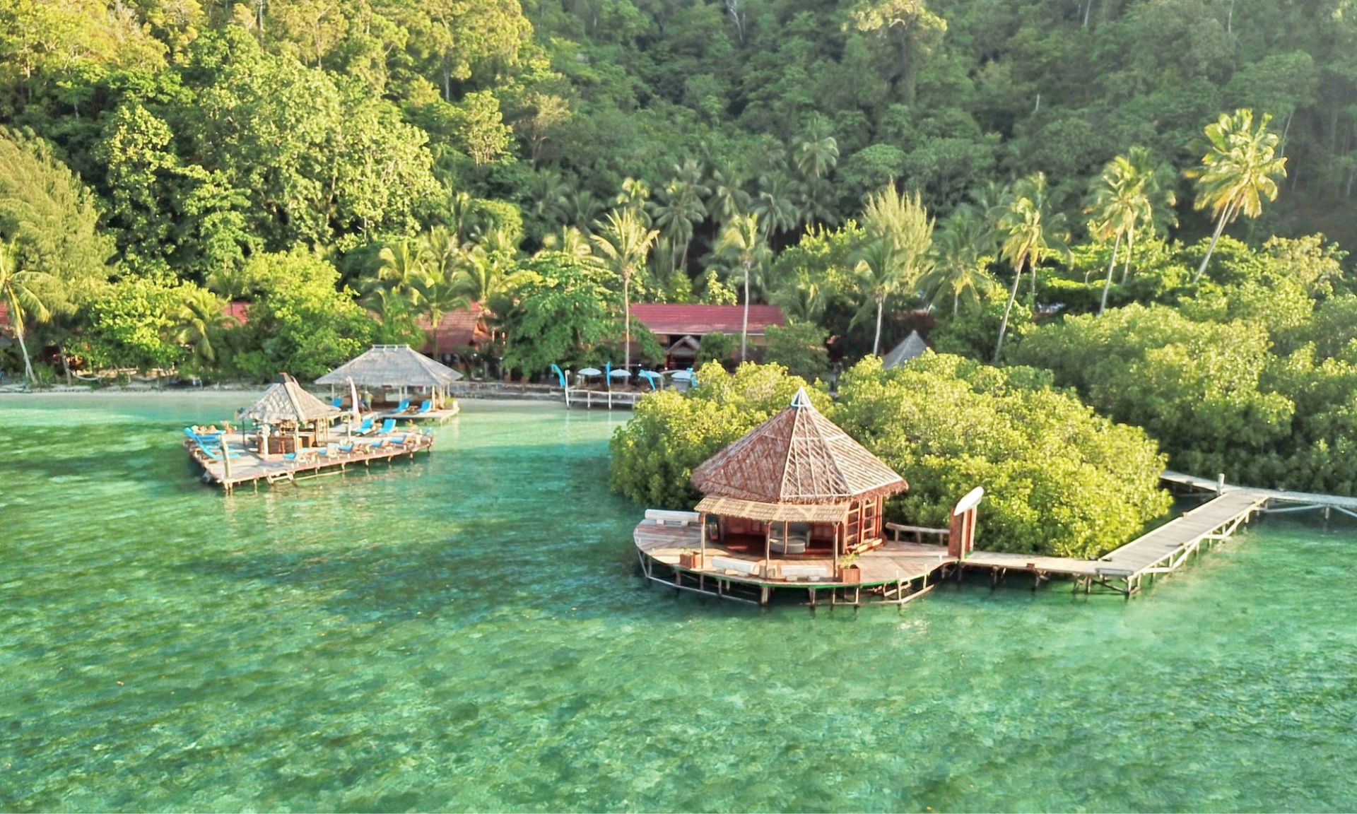 Raja Ampat Dive Lodge The Most Diverse Reefs in The World